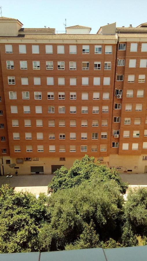 카스텔론델라플라나 Piso Acogedor Y Alegre En Castellon 아파트 외부 사진